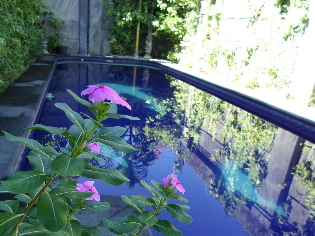 Bali Aman Darling House Hotel Canggu  Exterior photo