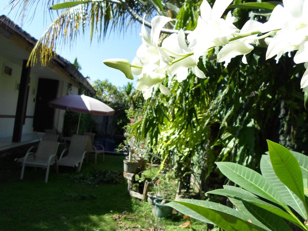 Bali Aman Darling House Hotel Canggu  Exterior photo