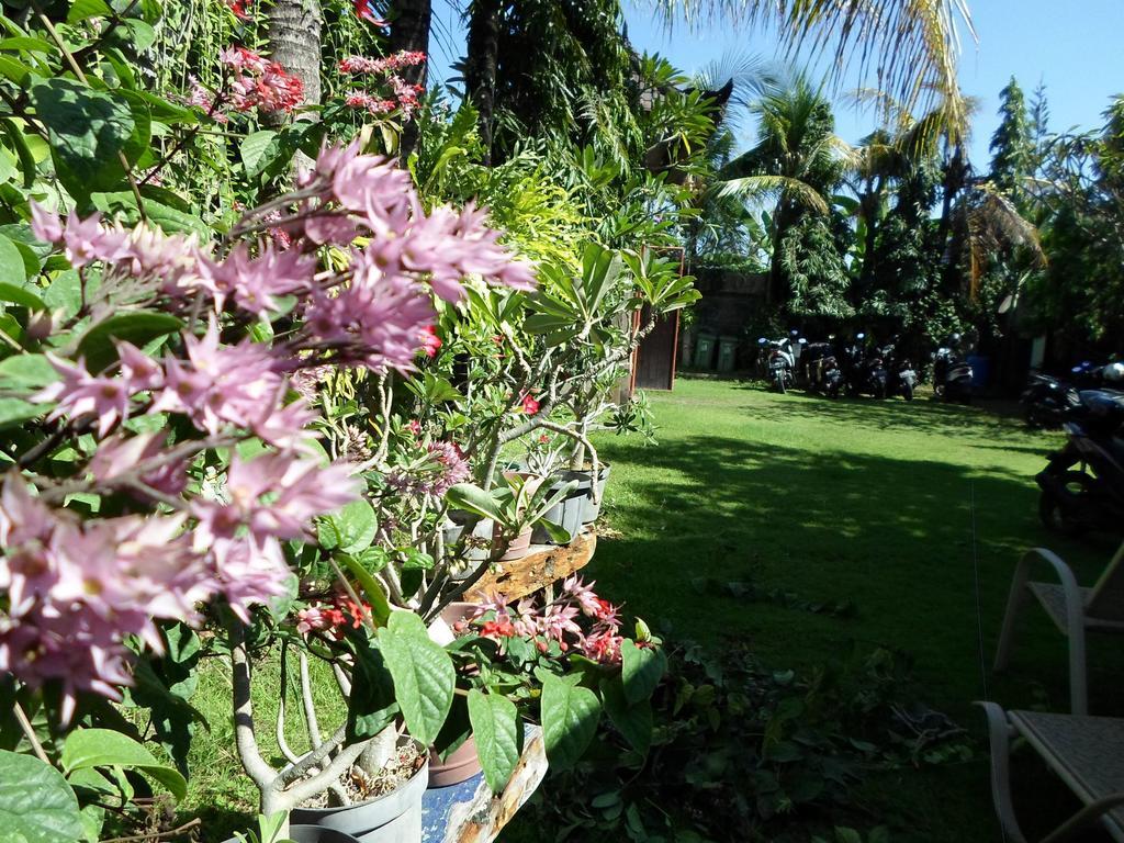 Bali Aman Darling House Hotel Canggu  Exterior photo