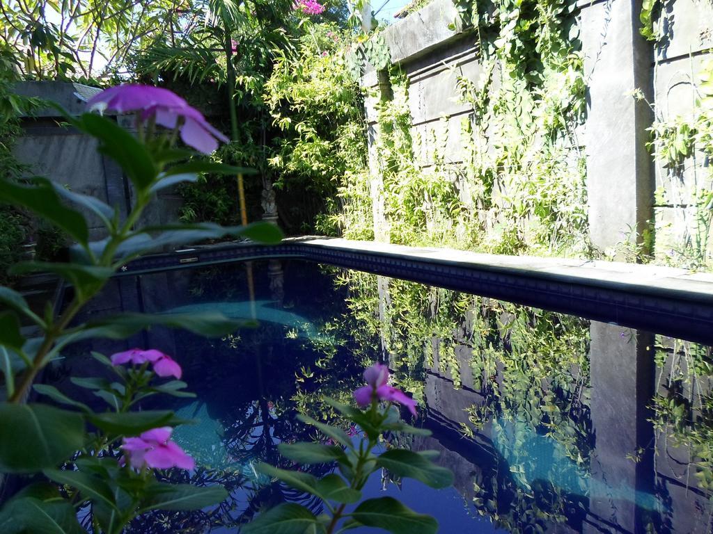 Bali Aman Darling House Hotel Canggu  Exterior photo